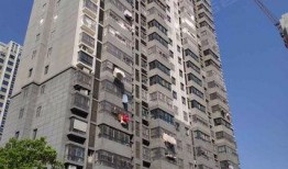 新沂房产爆料最新消息,最新爆料揭示市场趋势与热点项目